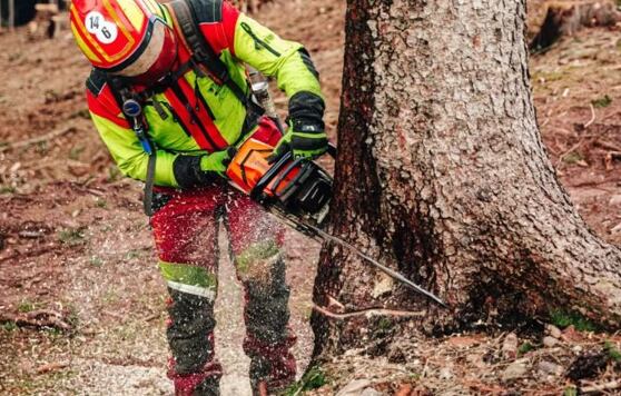 Jak dbać o spodnie antyprzecięciowe