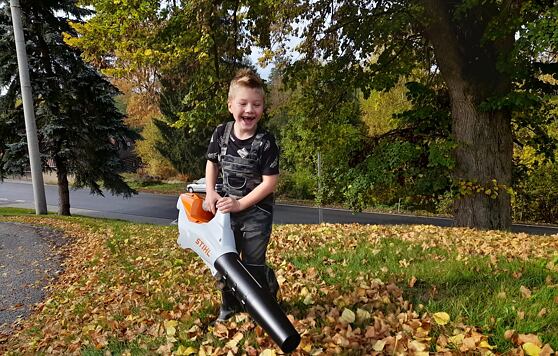 Łatwe czyszczenie opadłych liści