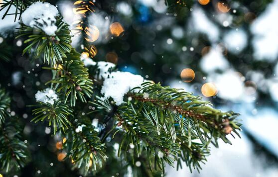 Gwarancja dostawy towaru przed świętami Bożego Narodzenia