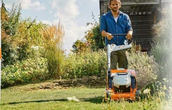 Sprzątanie i przygotowanie ogrodu do zimy