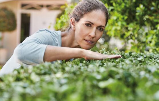Idealne krzewy i żywopłoty