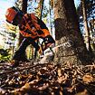 Akumulátorová řetězová pila - Stihl MSA 260 C-O