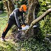 WYNAJEM - Piła łańcuchowa akumulatorowa - Stihl MSA 220 CB
