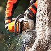 Přiřezávání kmene stromu motorovou pilou ovládanou osobou v ochranném pracovním oblečení.