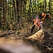 Akumulátorová řetězová pila - Stihl MSA 260 C-O